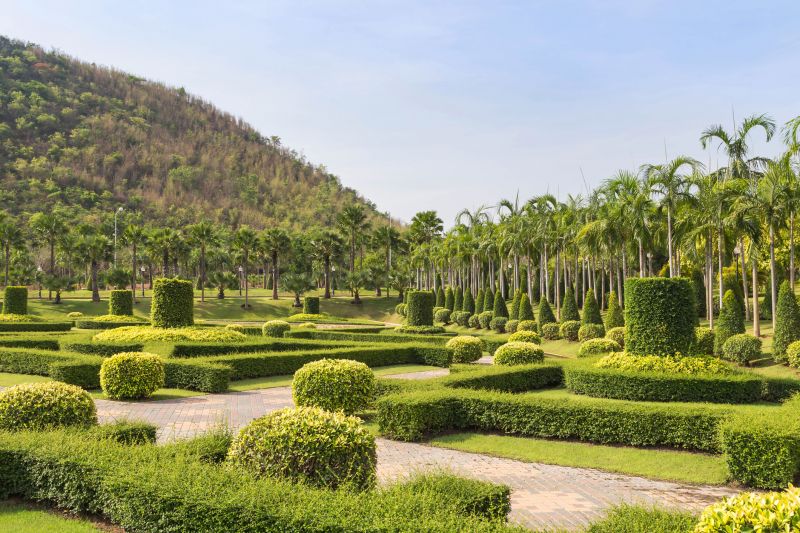 Trimmed Shrubs with Symmetrical Shape