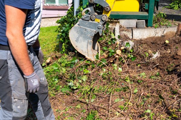 Hedge Removal Service in Boerne