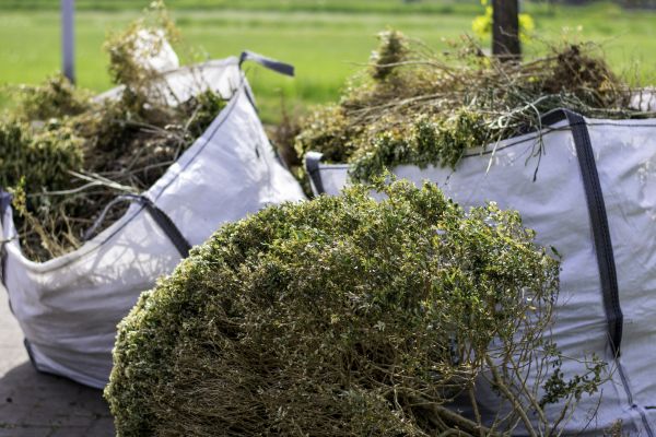 Shrub Removal Service in Boerne