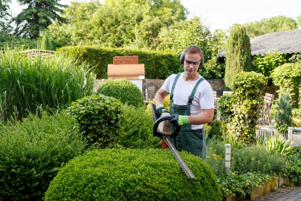 Shrubs Trimming in Boerne