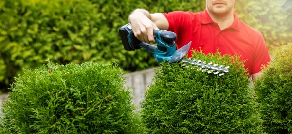Hedge Shaping Service in Boerne